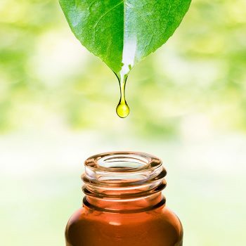 I-Grande-3275-qu-est-ce-que-l-aromatherapie-notre-definition.net